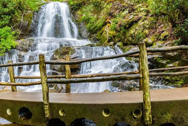 This image is by Treehouse Grove at Norton Creek | Gatlinburg, TN.