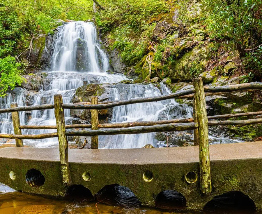 8 Best Hiking Trails in & Around Gatlinburg