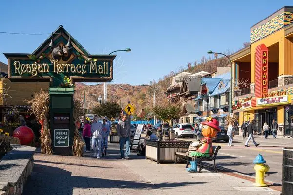 Treehouse Grove at Norton Creek | Gatlinburg, TN