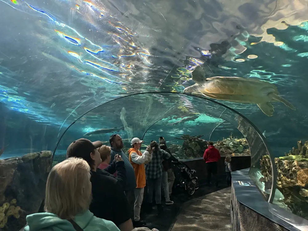 3-Day Itinerary for Gatlinburg: Ultimate Travel Guide