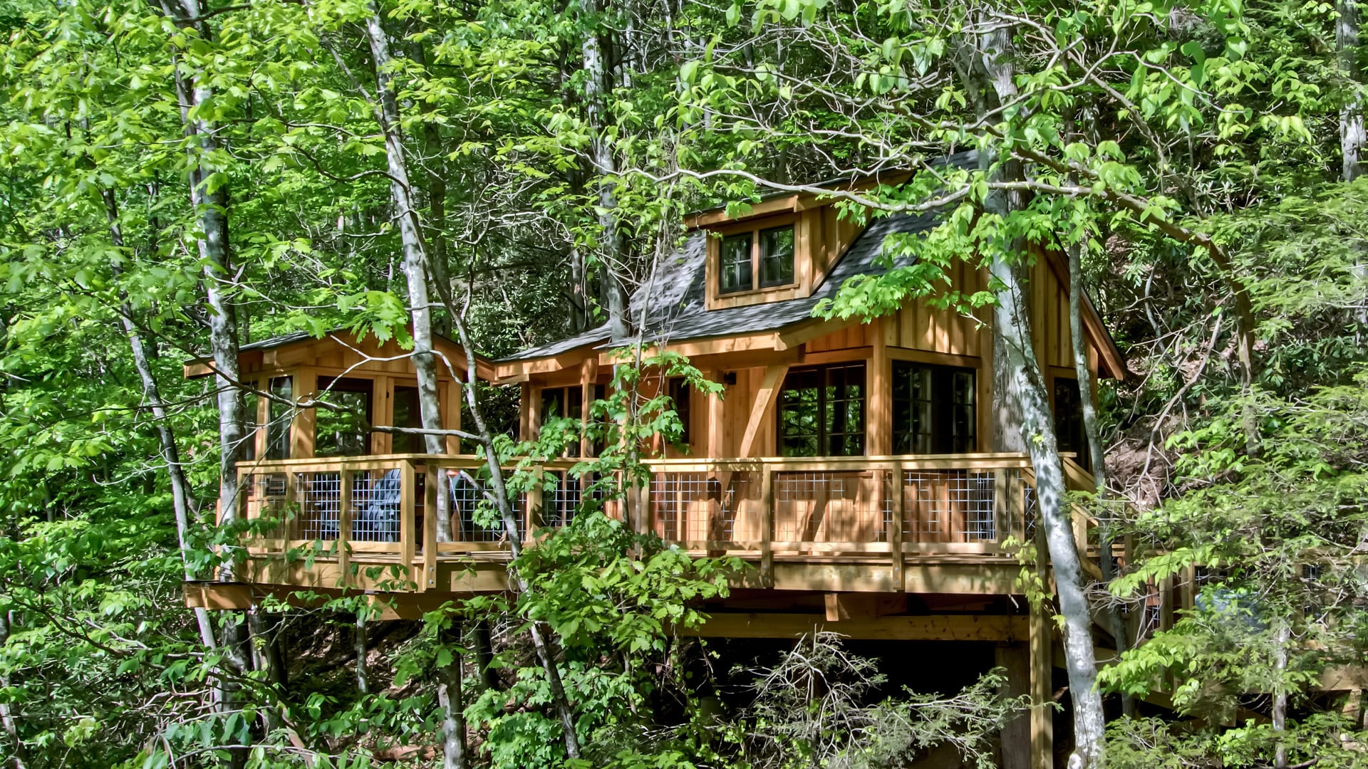 Treehouse Grove at Norton Creek | Gatlinburg, TN