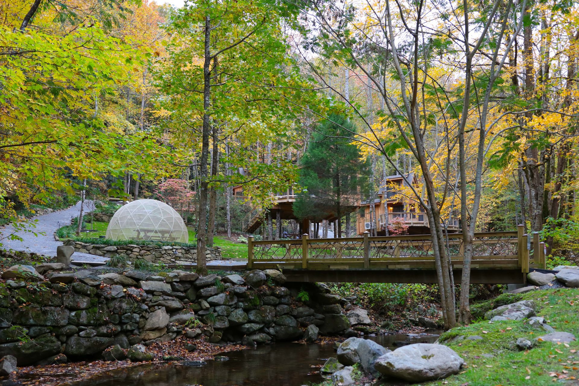 Treehouse Grove at Norton Creek | Gatlinburg, TN