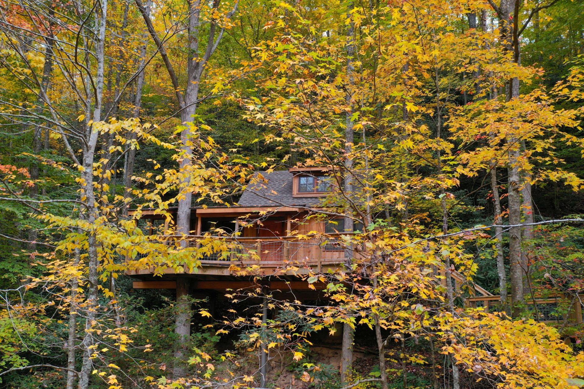 Treehouse Grove at Norton Creek | Gatlinburg, TN