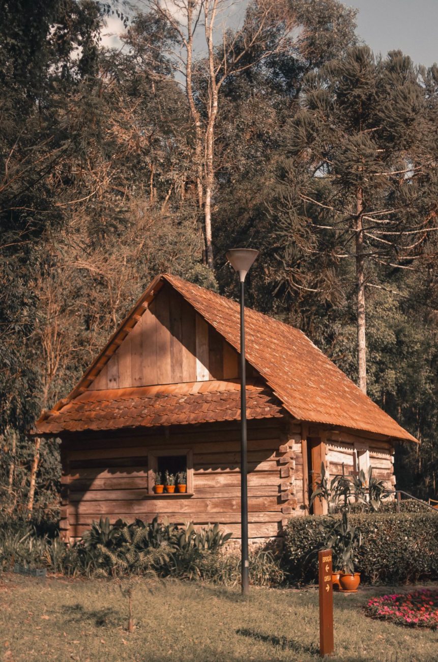 Treehouse Grove at Norton Creek | Gatlinburg, TN