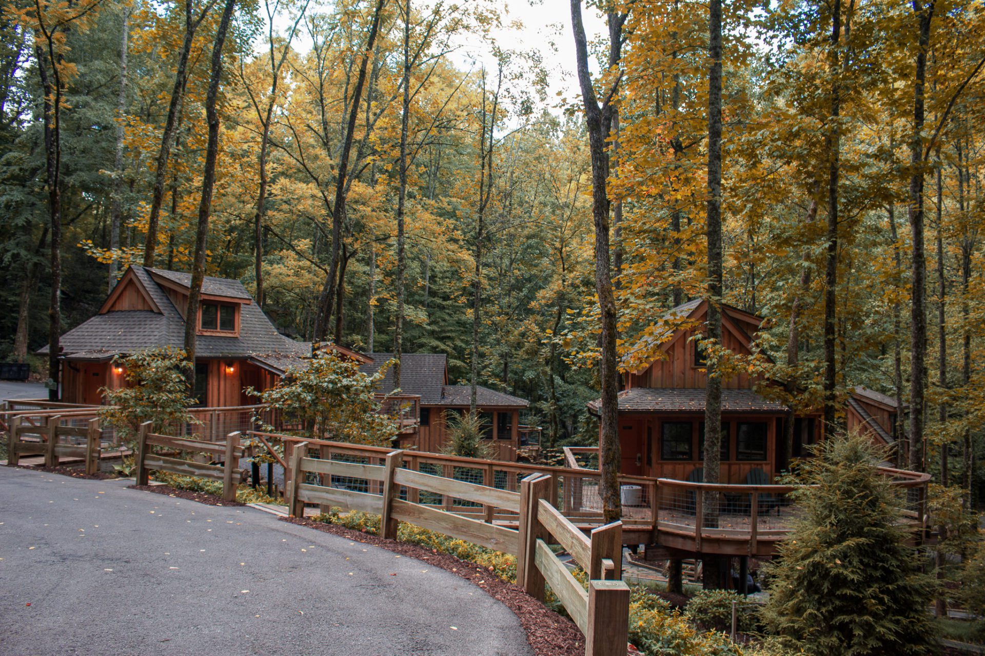 Autumn at Treehouse Grove in Gatlinburg Tennessee