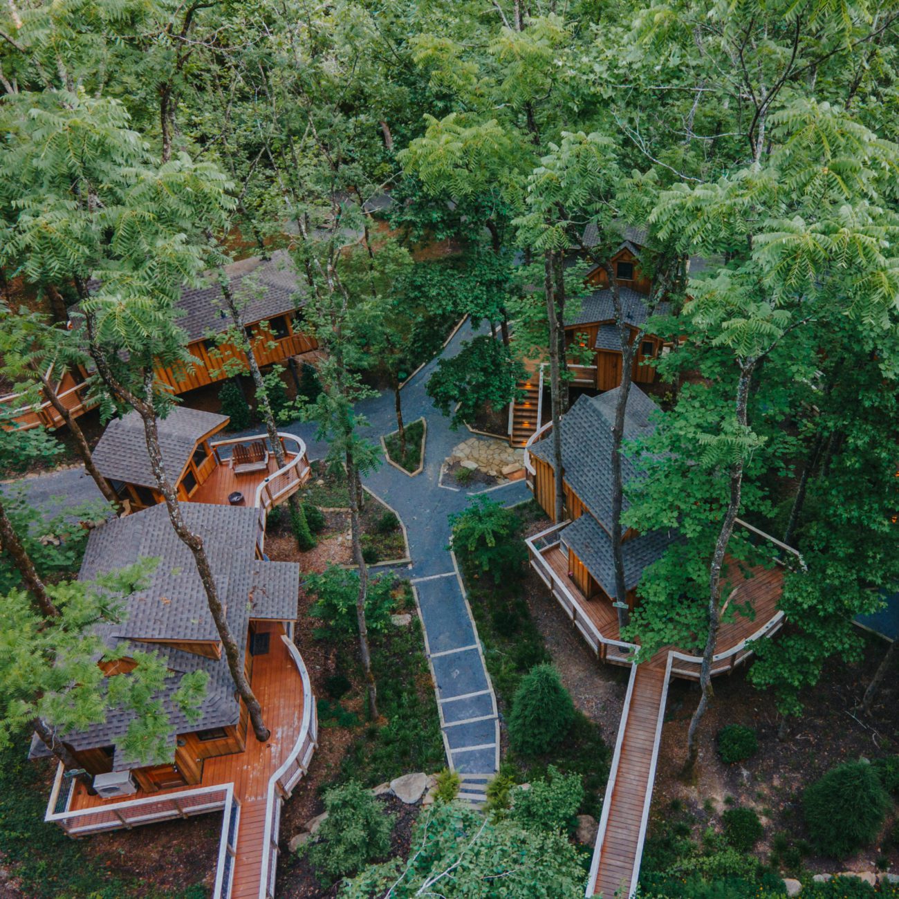 Treehouse Grove Drone Shot