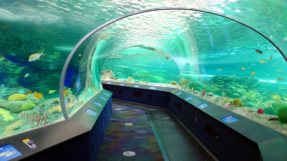 Image of an aquarium