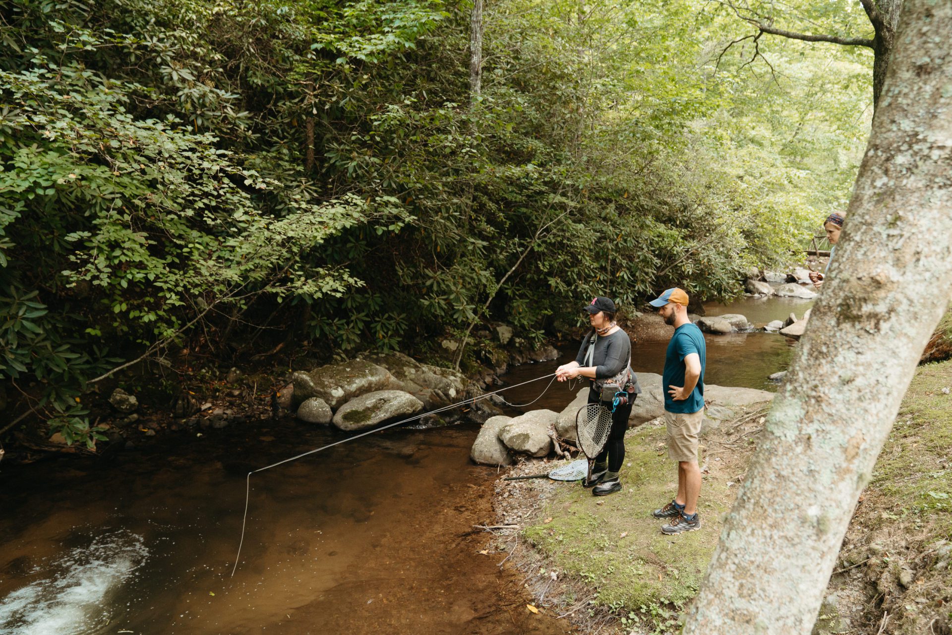 Trout Fishing Paradise in the Tennessee Smoky Mountains