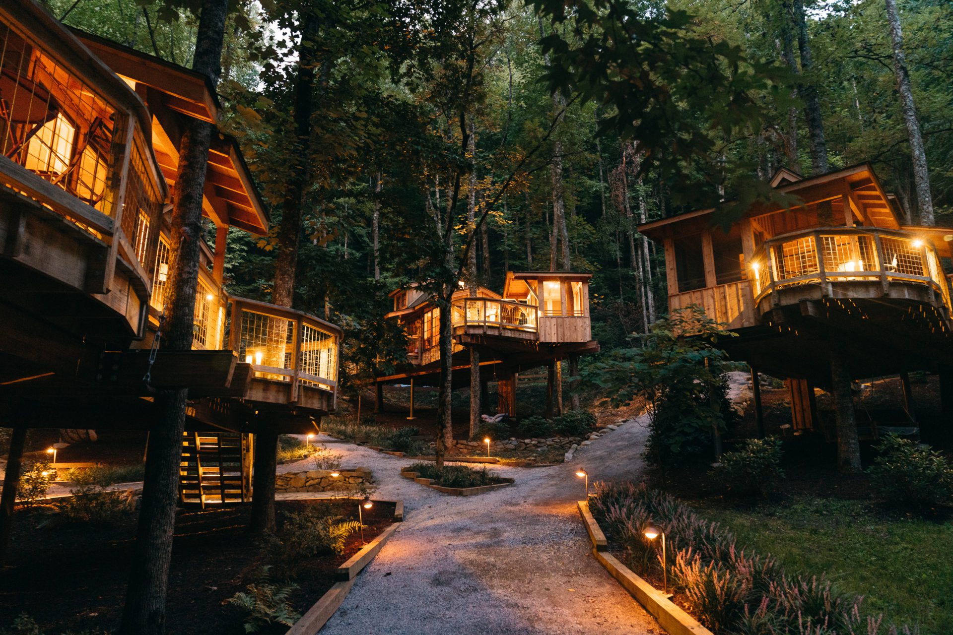 Treehouses lit up at night