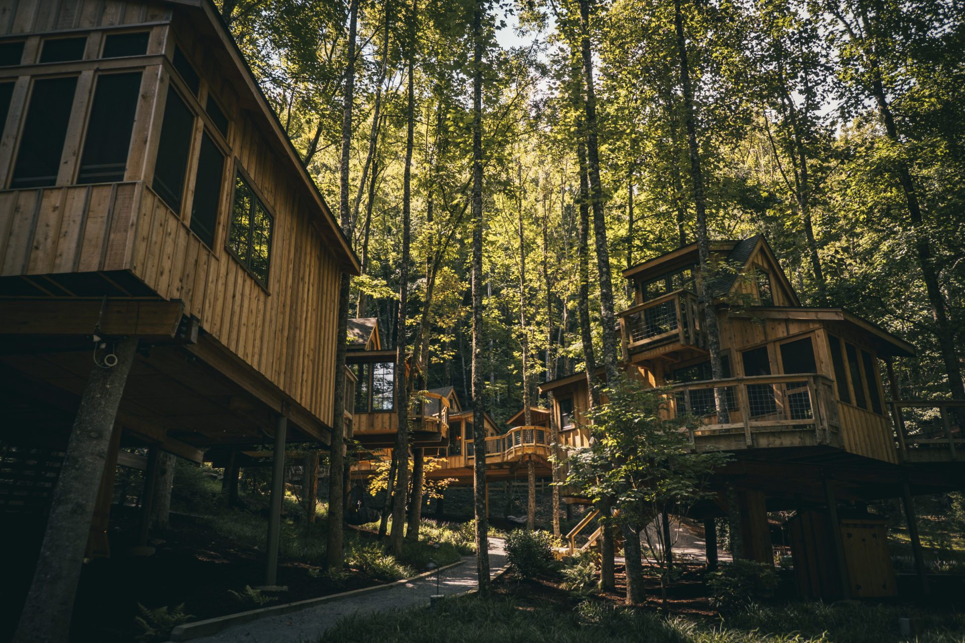 By the Creek Treehouses