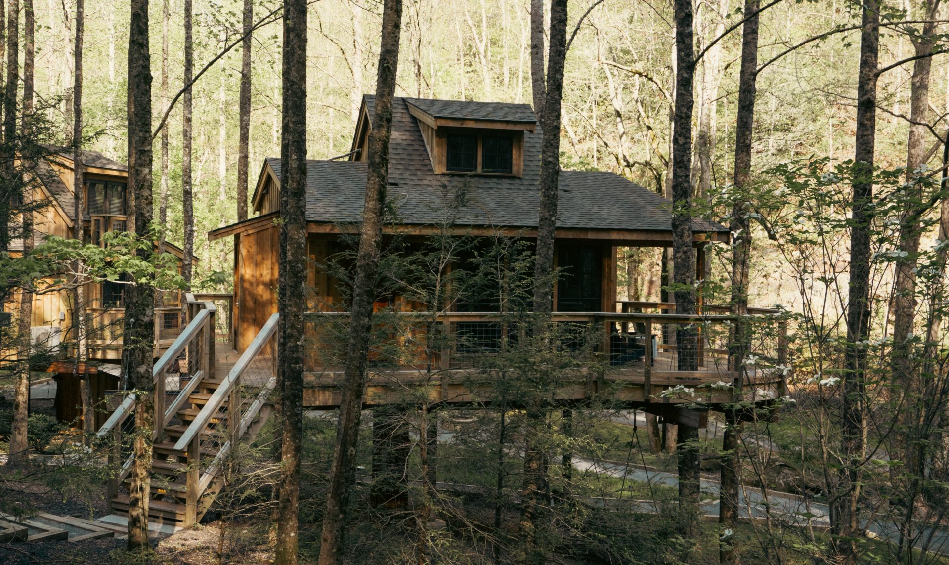 Treehouse Grove at Norton Creek | Gatlinburg, TN