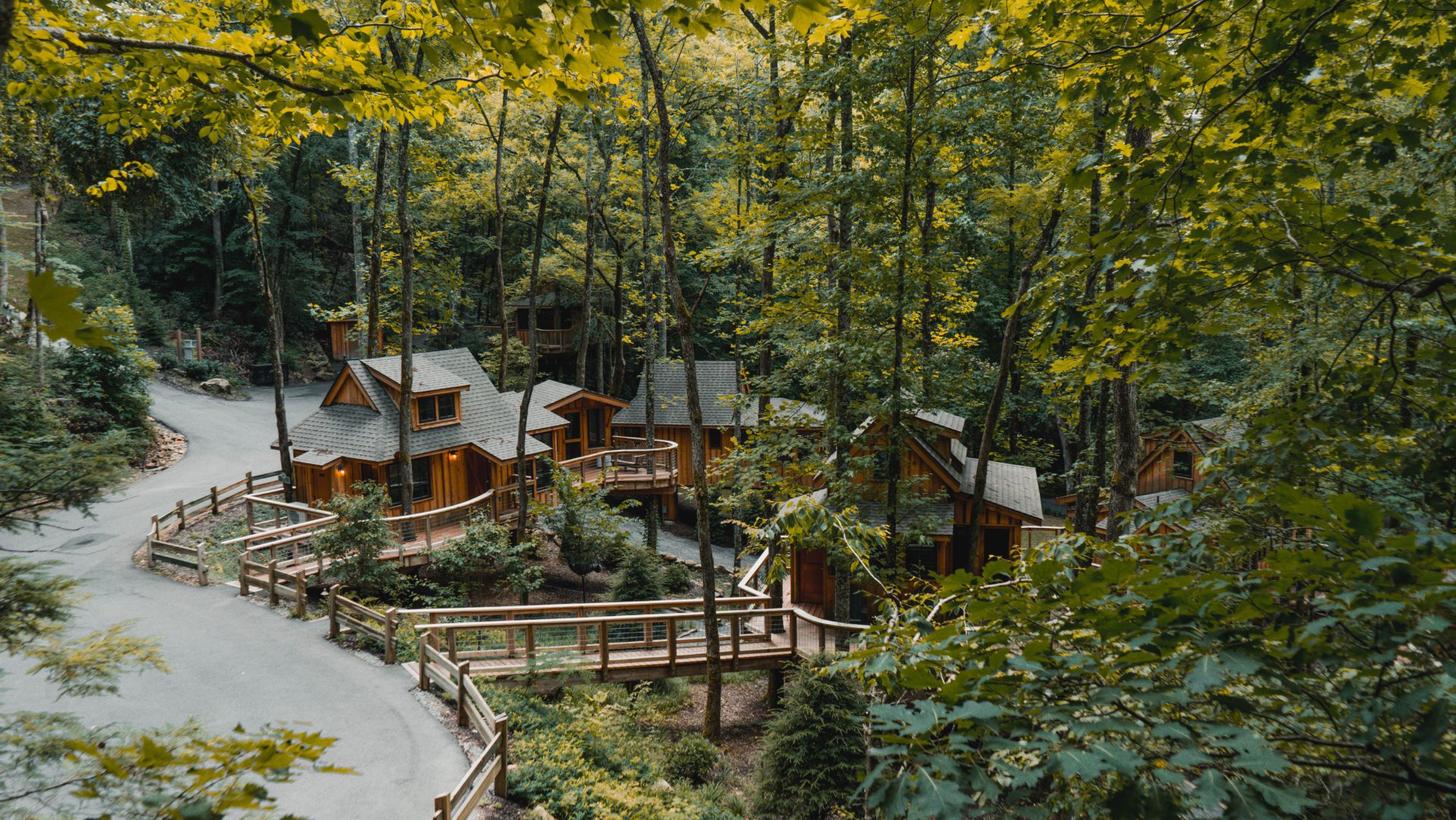Discover Our “By the Creek” Treehouses in the Smoky Mountains