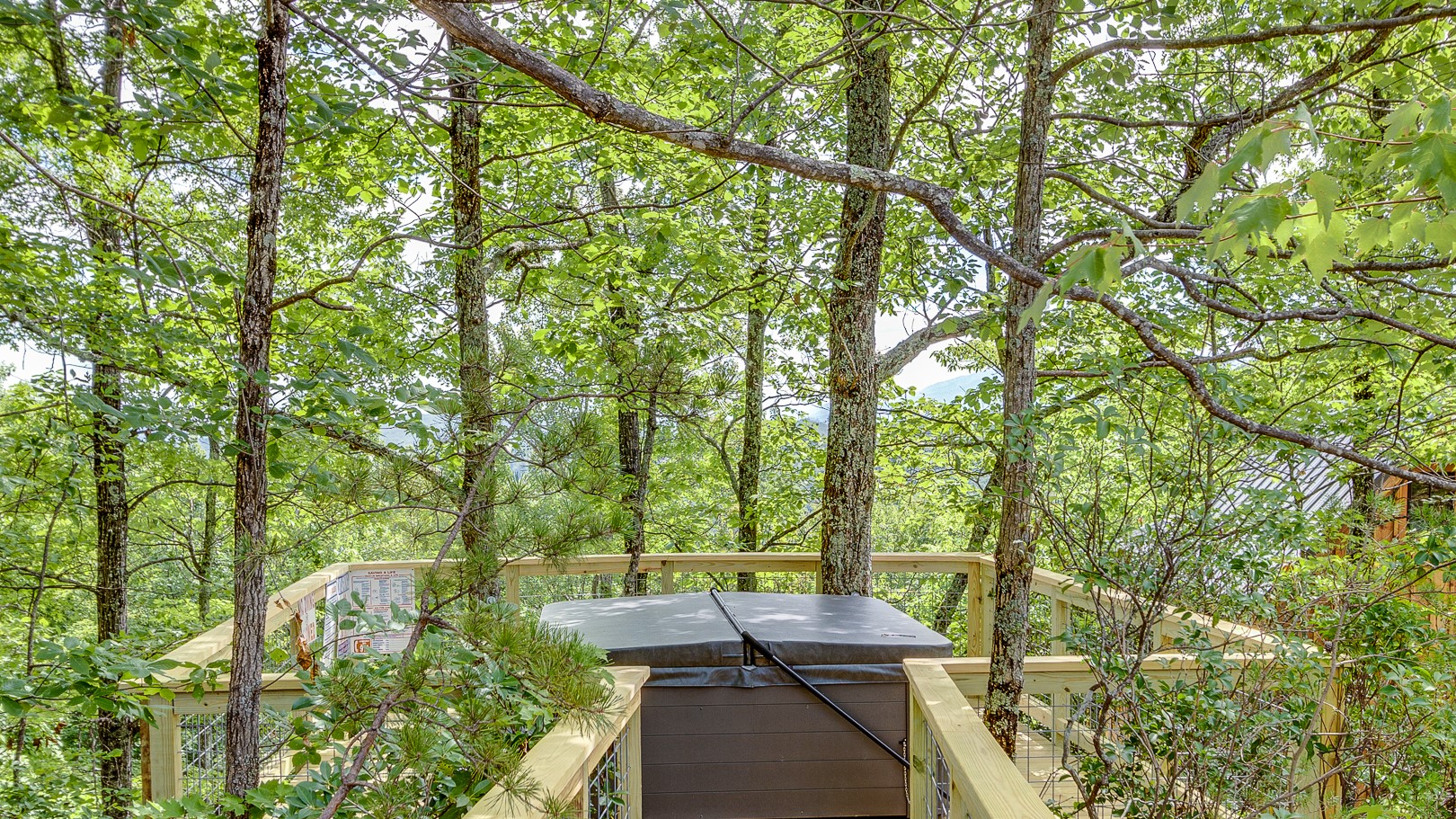 Treehouse Grove at Norton Creek | Gatlinburg, TN