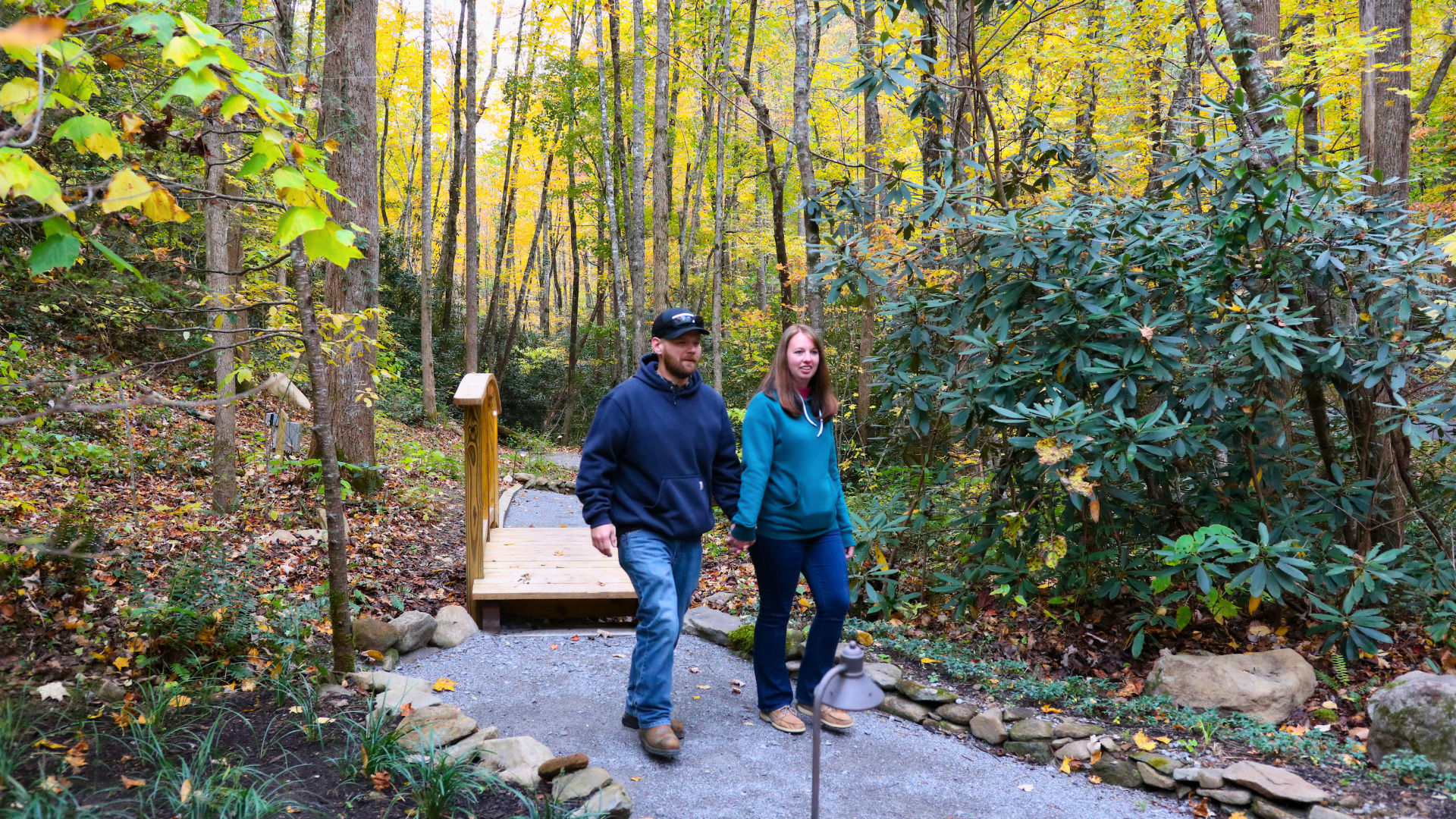 Treehouse Grove at Norton Creek | Gatlinburg, TN