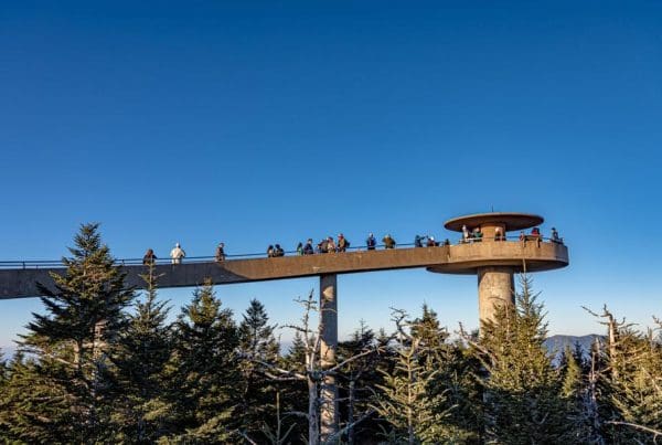 This image is by Treehouse Grove at Norton Creek | Gatlinburg, TN.