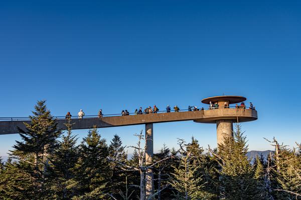 Treehouse Grove at Norton Creek | Gatlinburg, TN
