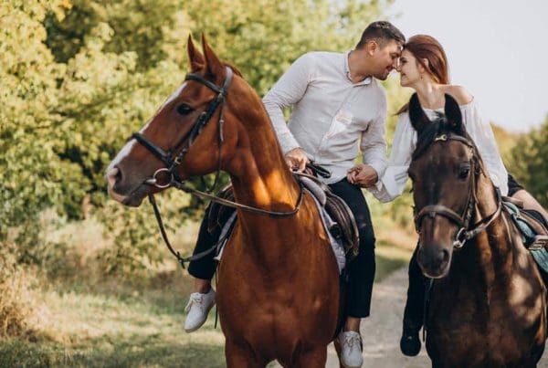 This image is by Treehouse Grove at Norton Creek | Gatlinburg, TN.