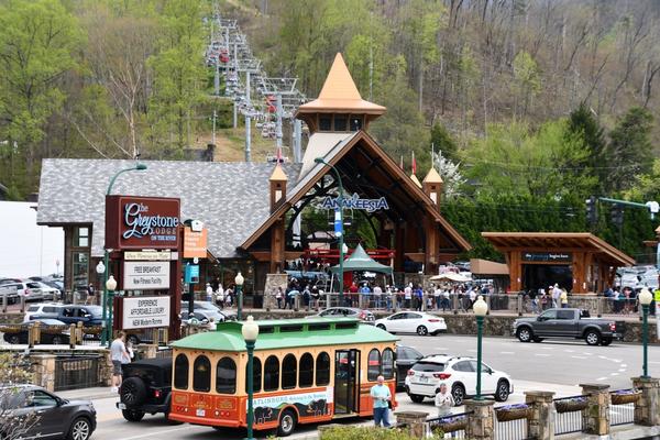 Treehouse Grove at Norton Creek | Gatlinburg, TN