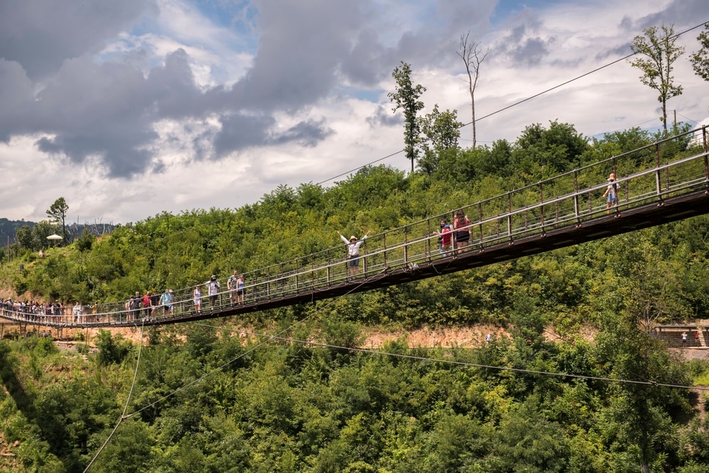11 Unique Things to Do in the Smoky Mountains