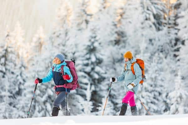 Treehouse Grove at Norton Creek | Gatlinburg, TN