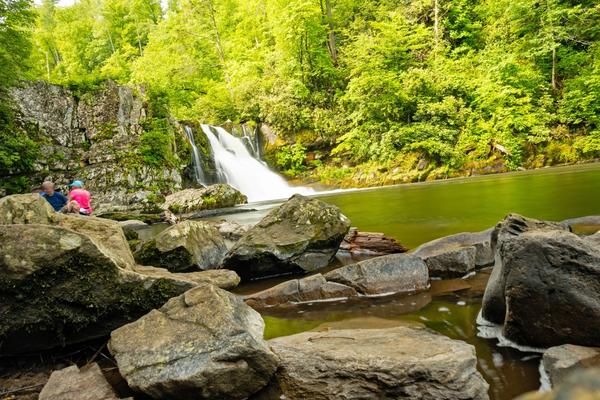 Treehouse Grove at Norton Creek | Gatlinburg, TN