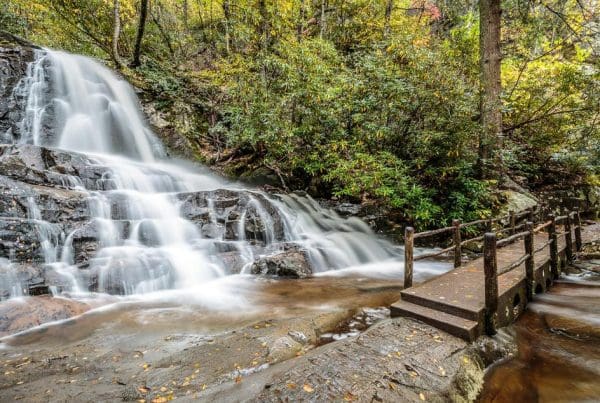 This image is by Treehouse Grove at Norton Creek | Gatlinburg, TN.
