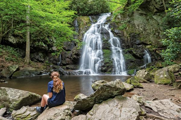 Treehouse Grove at Norton Creek | Gatlinburg, TN