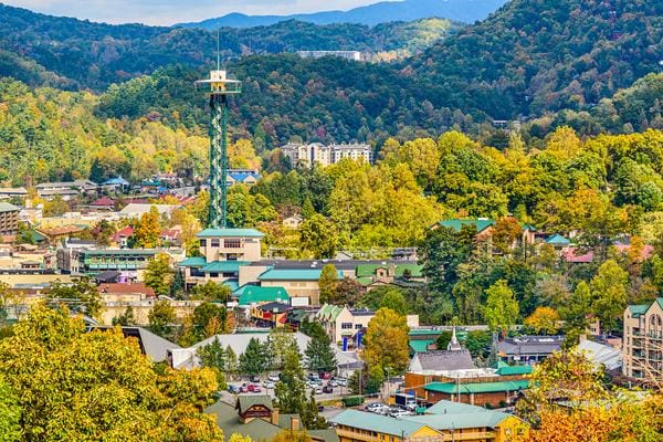 Treehouse Grove at Norton Creek | Gatlinburg, TN